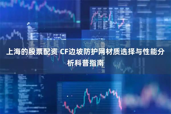 上海的股票配资 CF边坡防护网材质选择与性能分析科普指南