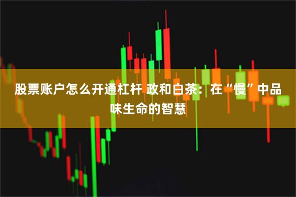 股票账户怎么开通杠杆 政和白茶：在“慢”中品味生命的智慧