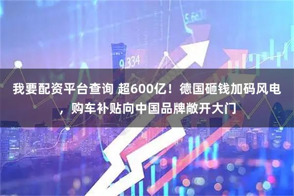 我要配资平台查询 超600亿！德国砸钱加码风电，购车补贴向中国品牌敞开大门
